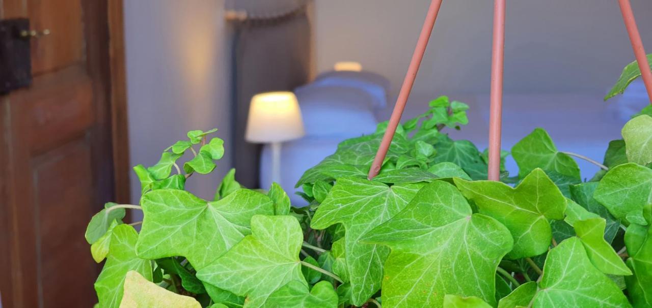 Palatina Apartment Turyn Zewnętrze zdjęcie